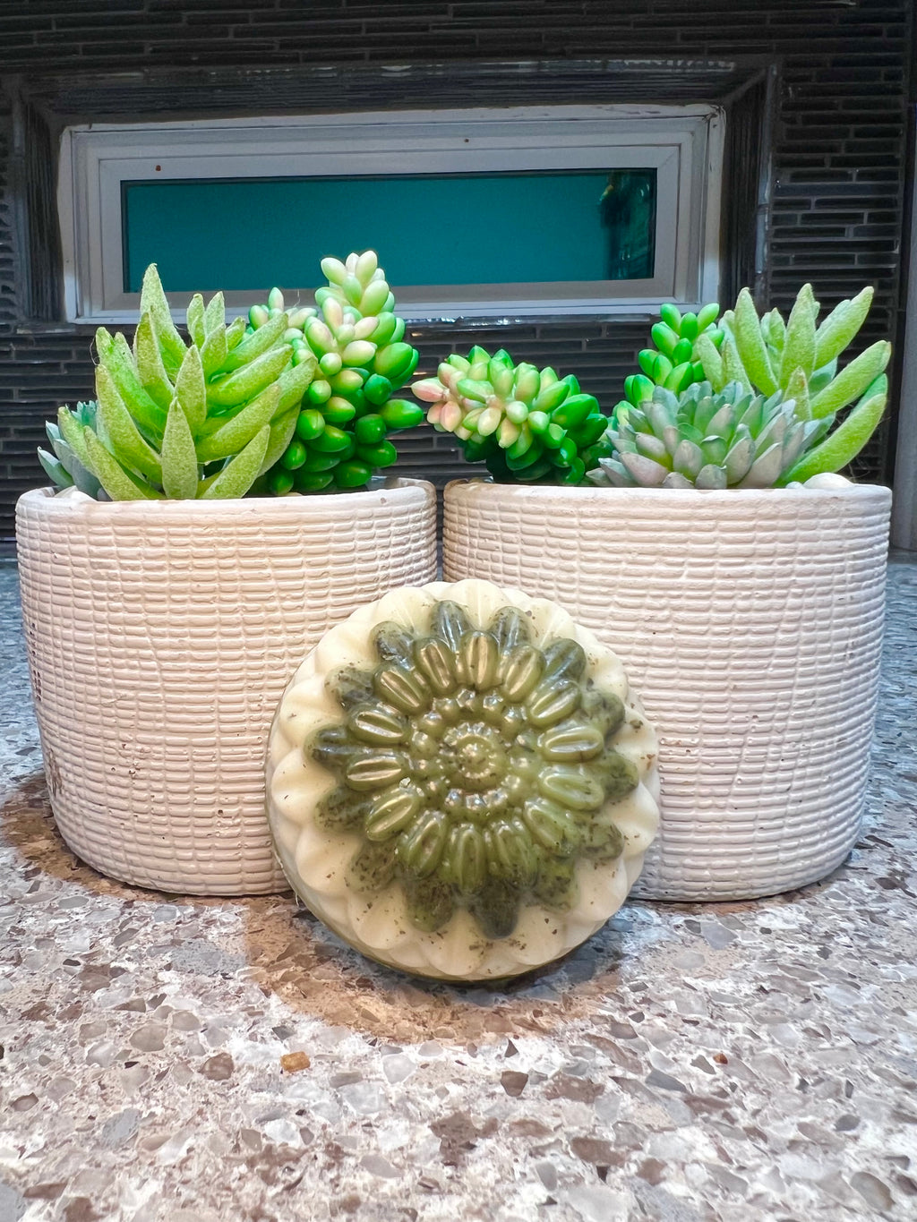 Rosemary Peppermint 'No More Break' Shampoo Bar🧼 + FREE Gift🎁