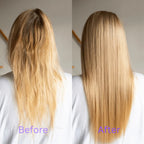 Ultimate Hair Porosity Blueprint