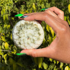 Rosemary Peppermint 'No More Break' Shampoo Bar🧼 + FREE Gift🎁