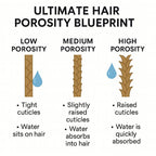 Ultimate Hair Porosity Blueprint
