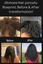 Ultimate Hair Porosity Blueprint